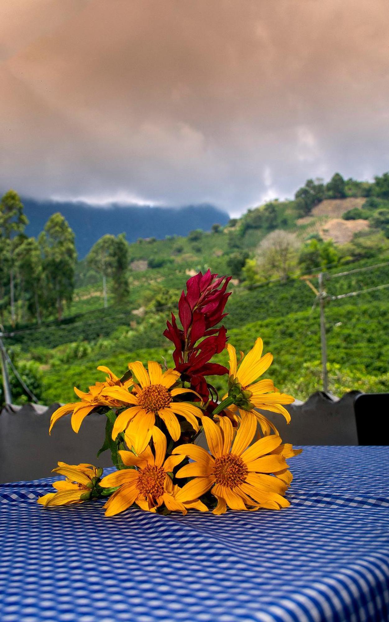 Secretos Del Eden Hotel Ruiosucio ภายนอก รูปภาพ